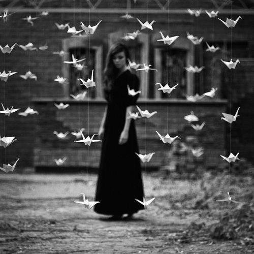 480995_493924034000953_2144285332_n